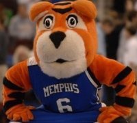 Proud #Memphis supporter and sports fan.