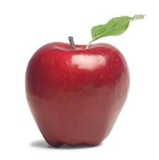 realreform's profile picture. Real reform should involve less big $ and more teachers. I believe in fighting for workers AND for children and am tired of the false divide.