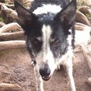 Fred Kennedy - @fred_kennedy - Twitter