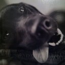 Bryan Babb - @3BBabb - Twitter