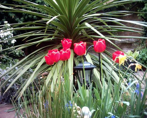 Enjoy gardening.
Take a look at this website for gardening hints, tips, gifts, and equipment: