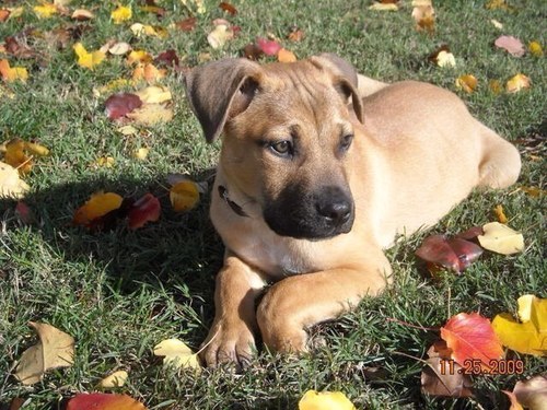 davidhpainter's profile picture. Father of 3 boys VT fan