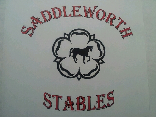 Sadd_Stables's profile picture. Family run Riding School and Livery Yard. Insured, CRB'd etc. Fantastic rural location. Come along for a ride - you will love it! Carol@saddleworthstables.co.uk