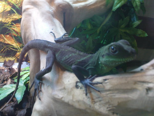 gudge1's profile picture. 