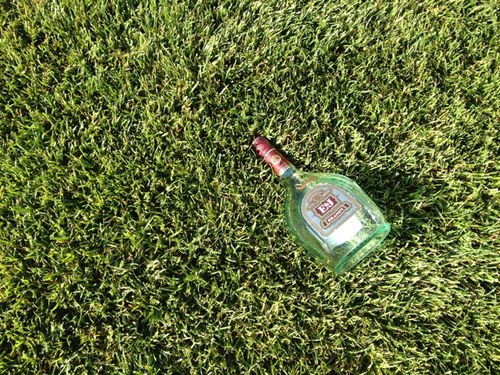 TwertShawn's profile picture. just a shawn thats a twert. i love to party