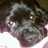 AnneeBollinger's profile image
