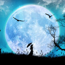 Lua (@0Lua_) Twitter