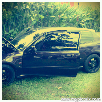 phoebielorraine's profile picture. 