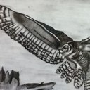 Lacey Eileen - @LaceyEileen15 - Twitter