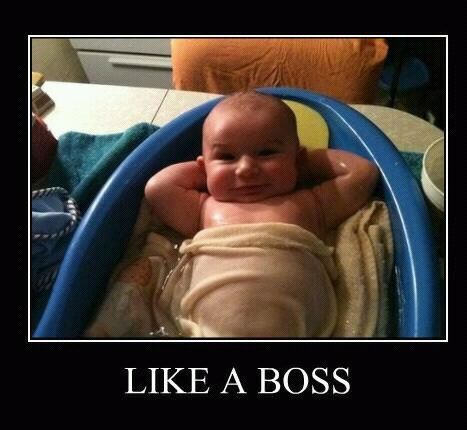 SAMCOGA's profile picture. 