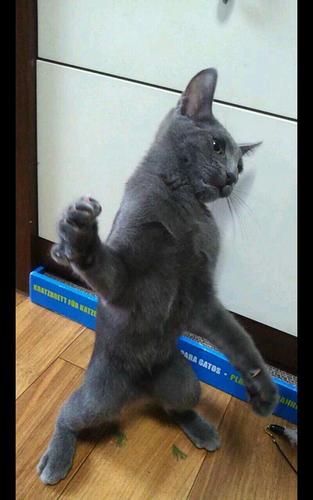 nasungtae1's profile picture. HR엑스퍼트(서치펌) 헤드헌터 나성태입니다.
 
C.P : 010-2672-9527
TEL : 070-8250-2821 FAX : 02-6937-0807
email : nasungtae@hrexpert.co.kr