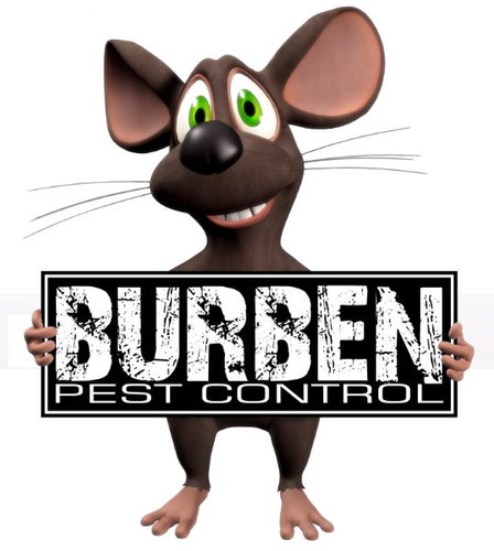 Pest control in Coventry, London, Warwickshire, West Midlands & Leicestershire. Call 02476 620 927