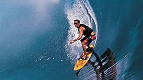 Fanatic surfer, joker, business owner, lover of life...Live the dream...Travel the world and surf...