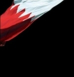 AmalFreeDom_'s profile picture. 