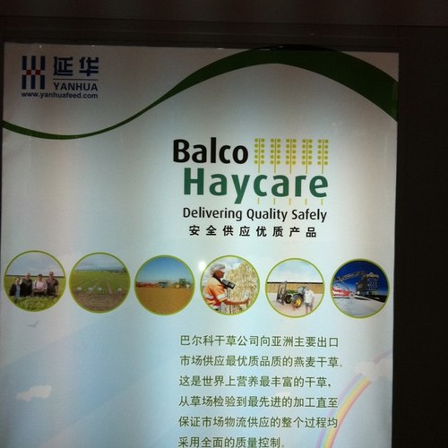 Murray_Smithhay's profile picture. Export Hay Industry stalwart since 1990, passionate Crows supporter, a founding director of Balco Australia and family man