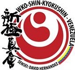 INSTRUCTOR DE ARTES MARCIALES, SHINKYOKUSHIN KARATE