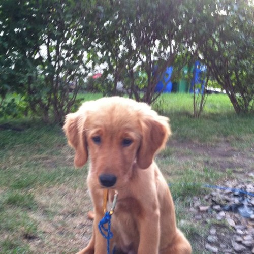 serl1's profile picture. 