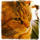 Jennifer Steelman - @jen_steelman - Twitter