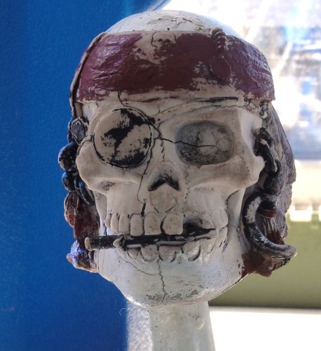 SailorsParadise's profile picture. Have a passion for sailing, the sea & all its creatures? Please join me where my aim is to promote &  preserve the paradise we sailors share