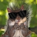 Jeff (@brindlejm) Twitter profile photo