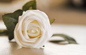 Berusaha menjadi Sahabat Terbaik^^ Motivasi Cinta, Hubungan dan Masa Depan