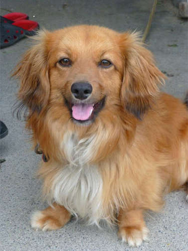 yk3330yukicha5's profile picture. アラフォーの男子です。動物好きで野球観戦も好きです。現在はパソコン教室で奮闘中です。