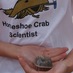 PRES Horseshoe Crabs (@preshorseshoe) Twitter profile photo