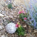 Vicki Cain - @CainVicki - Twitter