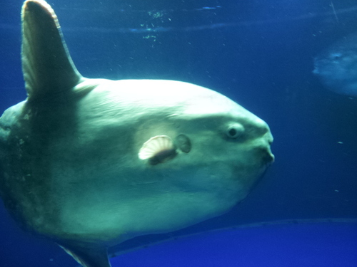 potatoman0104's profile picture. 看護学生( *・ω・)ノ青陵大学( *・ω・)ノ三条高校( *・ω・)ノ白根( *・ω・)ノじゃがいも( *・ω・)ノマンボウ( *・ω・)ノ高橋優( *・ω・)ノドラえもん( *・ω・)ノ