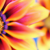 Life Unsorted (@lifeunsorted) Twitter profile photo