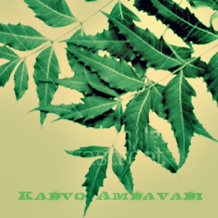 KadvoAmdavadi's profile picture. M Civil Engineer, Writer And Anchor & Humiourist