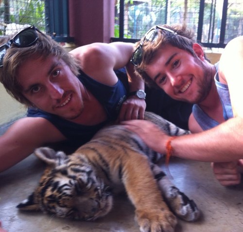 MulrooneyDan's profile picture. 