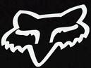 I love riding my dirt bike and watching motorcross races