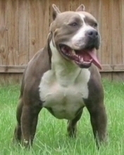 oscar hernandez