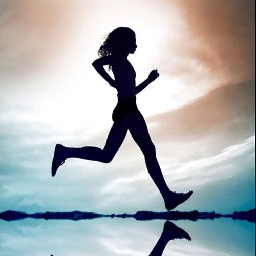 Looneyelk's profile picture. 