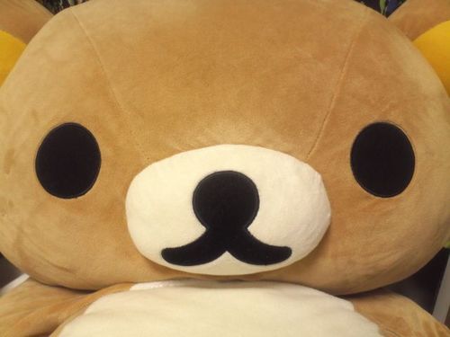 ujiie26's profile picture. ビール、CKB、大きな建造物好き。女の子に女の子な物を売る仕事。