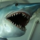 Daniel Trathen - @dantheprint - Twitter