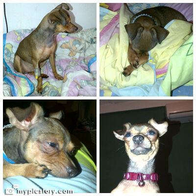 emsr2812's profile picture. 