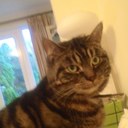 Barbara Sinclair - @barbsin - Twitter