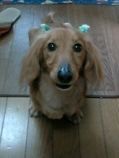Hamamoto_Toshi's profile picture. 