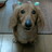 Hamamoto_Toshi's profile image