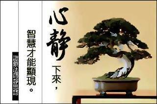 suiharley's profile picture. Have a wonderful shopping experience!! ★ .¸¸.•´¯` ☆ .¸¸.•´¯`★´¯` ☆