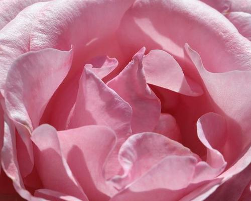 kb50379246's profile picture. 