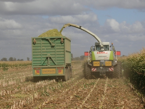 ColloughEnterpr's profile picture. We are an agricultural contracting business specialising in harvesting silage.
