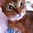 abhei0707's profile image