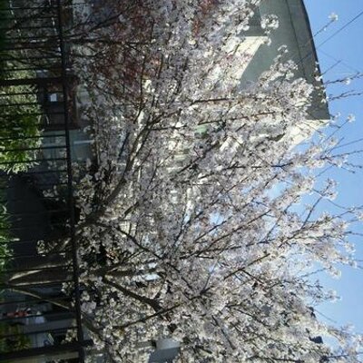 とも