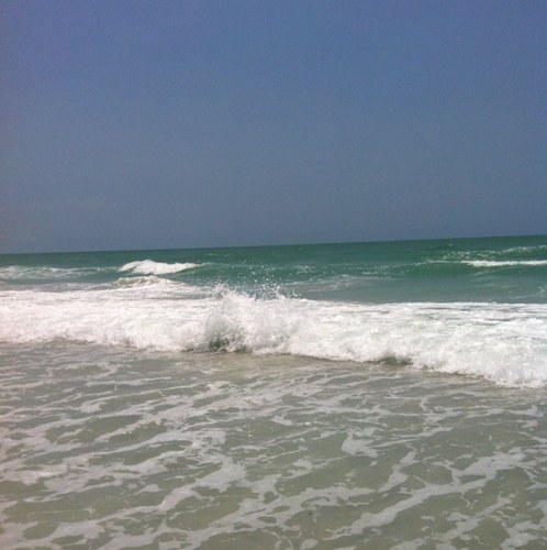 suzer912's profile picture. 