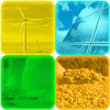 Social Network, community, annunci gratuiti, notizie e curiosità in merito a tutte le fonti di energia rinnovabili