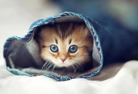 nphodgson95's profile picture. Singer, Dancer, Les Mills Instructor, Aspiring Figure Skater, Writer, Animal-Lover, Unique Shelia, Dreamer, Business Owner, Healer, LGBTQ Activist