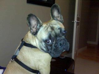 motomama179's profile picture. 